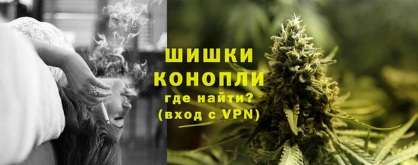 сатива Верхний Тагил
