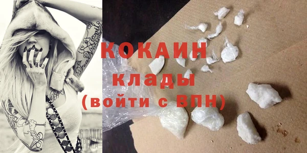сатива Верхний Тагил