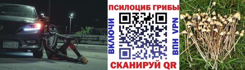 сколько стоит  Хадыженск  Галлюциногенные грибы мицелий 
